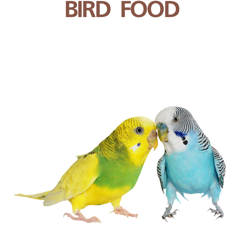 Bird Food