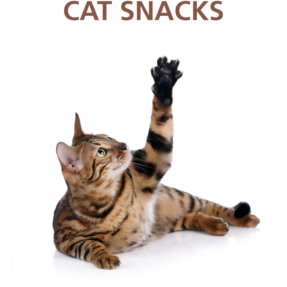 Cat Snacks