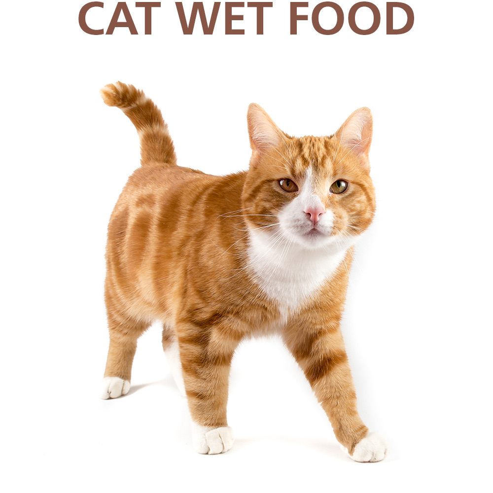 CAT WET FOOD