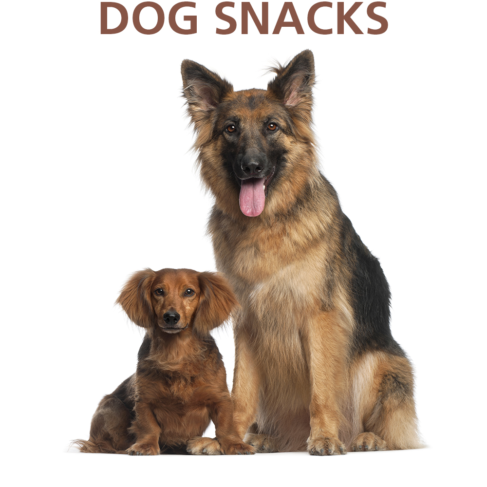 DOG SNACKS