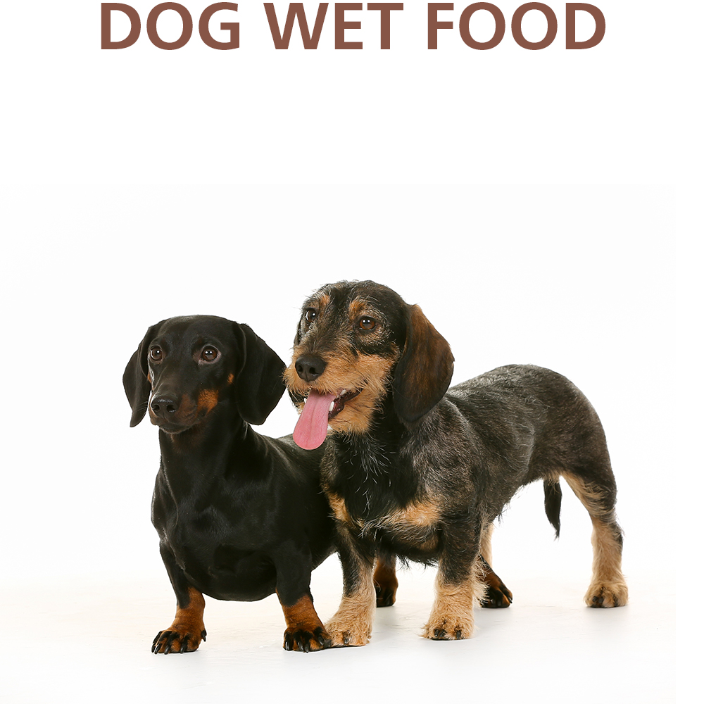 DOG WET FOOD