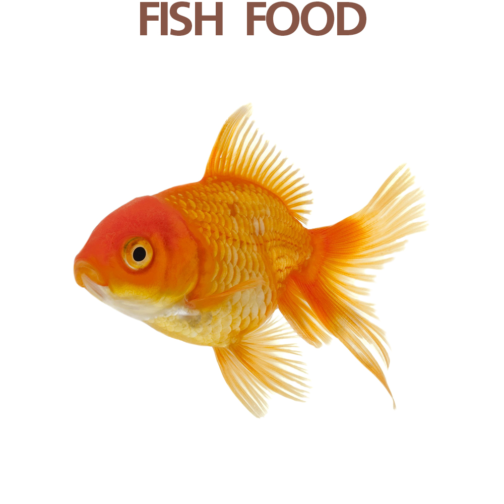 FISH FOOD